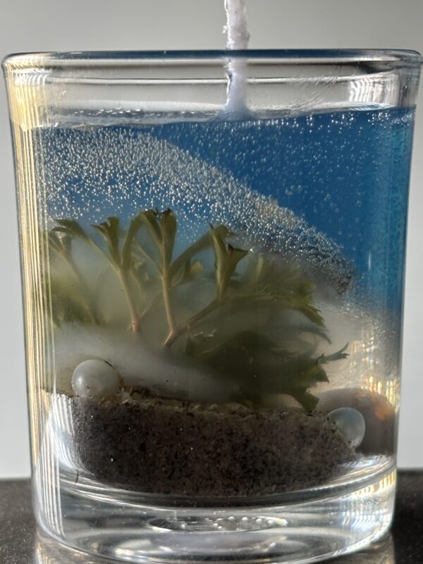Ocean-Themed Candle - Image 5